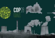 Assessing the Nuclear Content of COP28