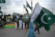 2024 Elections in Pakistan: Play of Alliances and Dictated Democracy