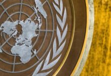 Beyond Deadlock: Understanding the 11th NPT Review Conference