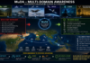 Towards Multi-Domain Awareness in the Indian Ocean Region