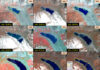 A Changing Himalayan Operational Environment: Climate Resilience and India’s Military Readiness
